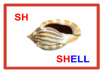 PHONICS_FLASHCARDS.pdf